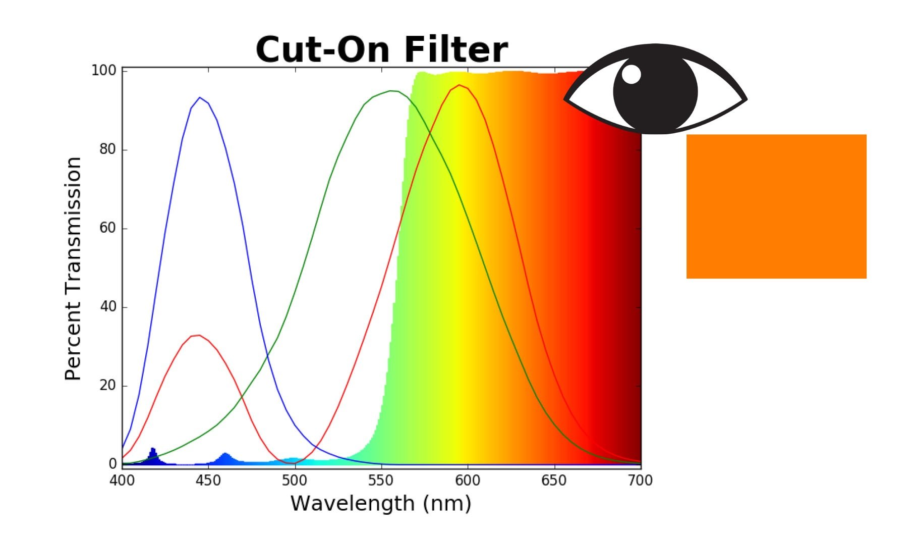 Visualizing an Example Cut-On Filter.jpg